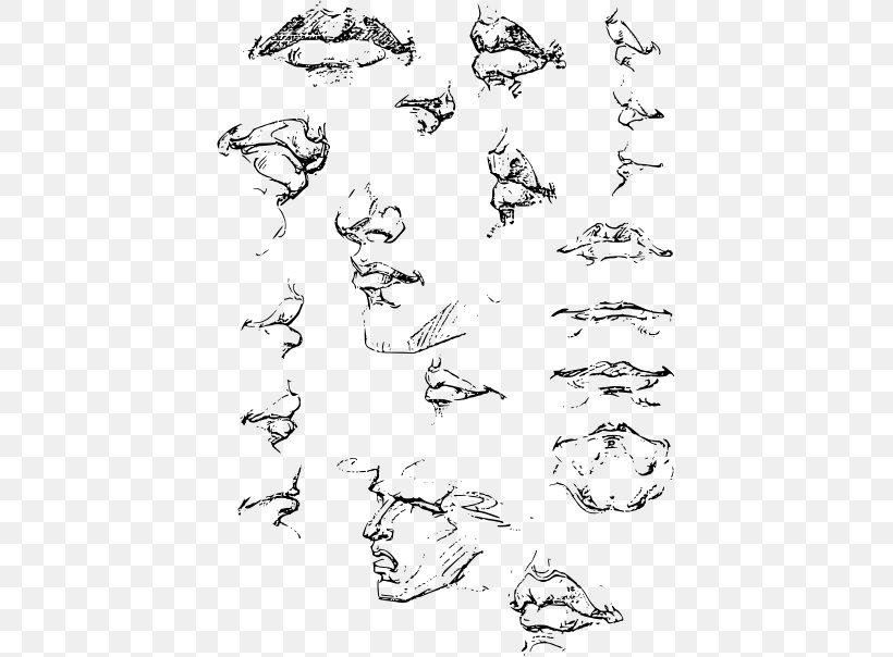 Constructive Anatomy Complete Guide To Drawing From Life Painting Sketch, PNG, 421x604px, Constructive Anatomy, Area, Art, Artist, Artwork Download Free