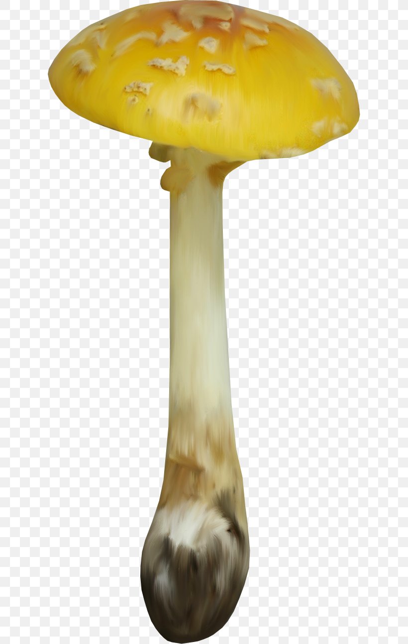 Edible Mushroom Food Clip Art, PNG, 628x1295px, Mushroom, Coprinus, Edible Mushroom, Food, Fungus Download Free