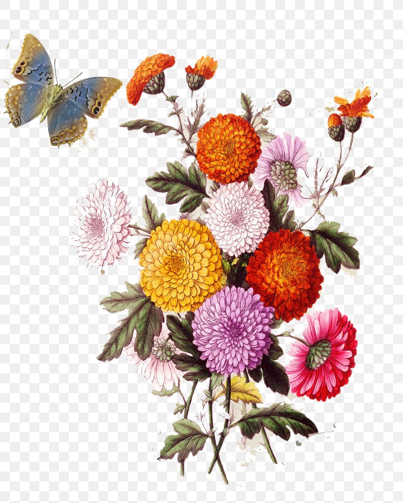 Flower Collage Stock Illustration Photography Png 819x1024px Europe Aster Chrysanths Cut Flowers Dahlia Download Free