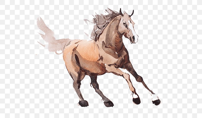 Horse Animal Figure Sorrel Stallion Mare, PNG, 718x479px, Horse, Animal Figure, Drawing, Liver, Mane Download Free