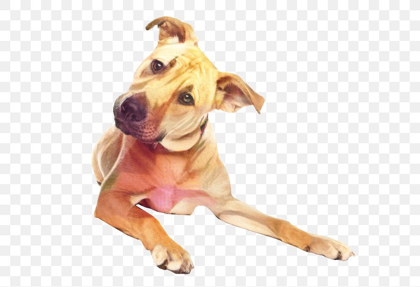 Dog Cartoon, PNG, 588x561px, American Pit Bull Terrier, American Staffordshire Terrier, Breed, Dog, Fawn Download Free