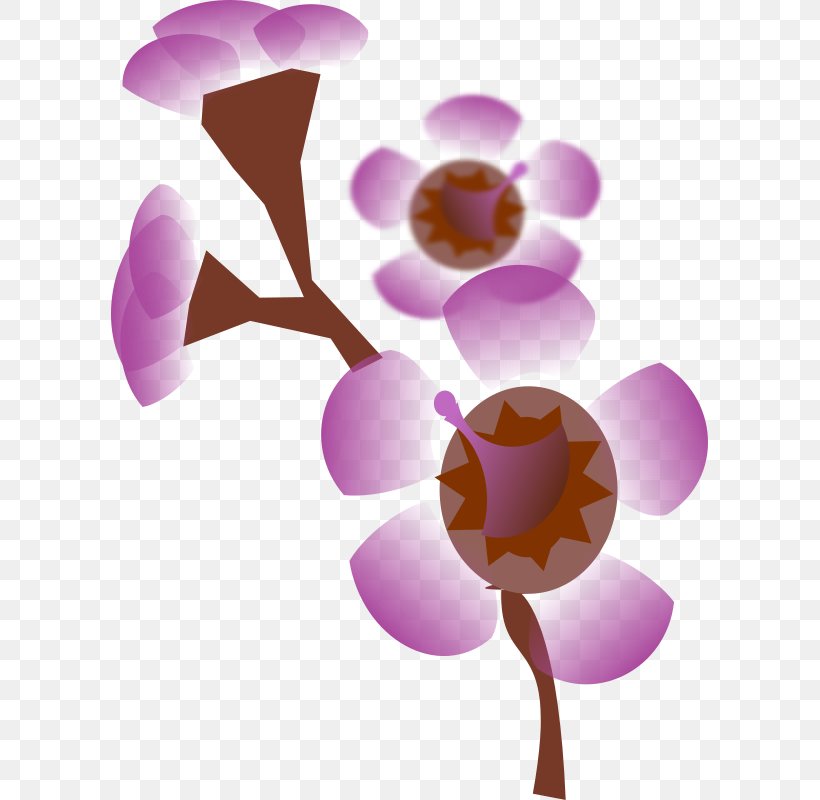 Flower Clip Art, PNG, 597x800px, Flower, Blossom, Branch, Flora, Flower Bouquet Download Free