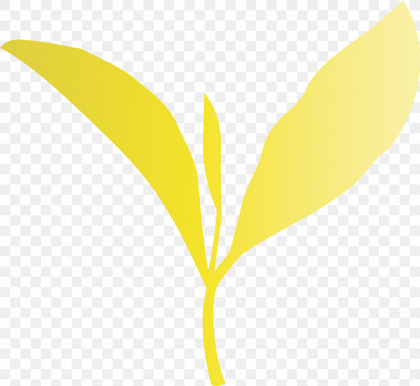 Leaf Yellow Plant Flower Tree, PNG, 3000x2758px, Tea Leaves, Flower, Leaf, Logo, Paint Download Free