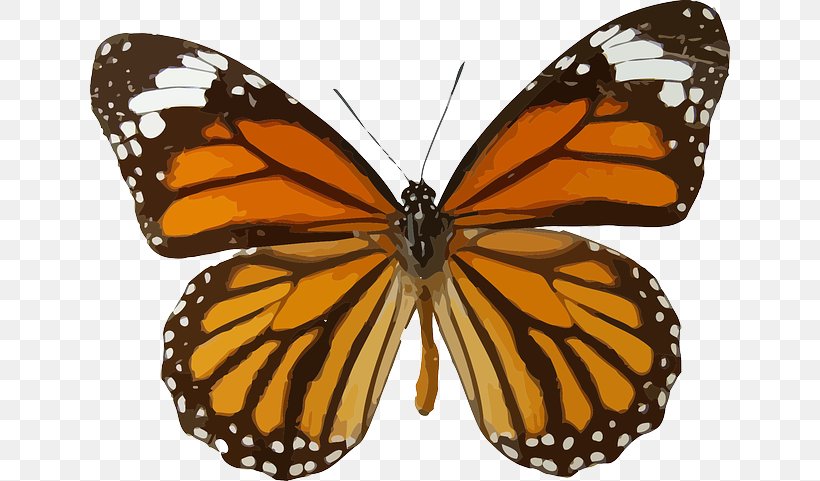 Monarch Butterfly Viceroy Animal Migration Clip Art, PNG, 640x481px, Butterfly, Animal Migration, Arthropod, Brush Footed Butterfly, Butterflies And Moths Download Free
