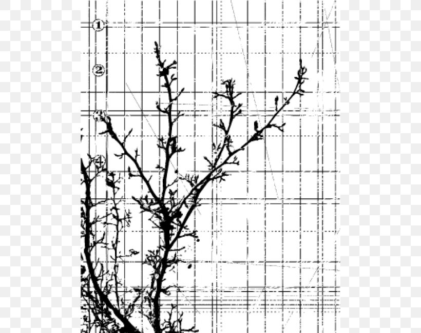 Rubber Stamp Natural Rubber /m/02csf Drawing Pattern, PNG, 650x650px, Rubber Stamp, Area, Black And White, Branch, Drawing Download Free