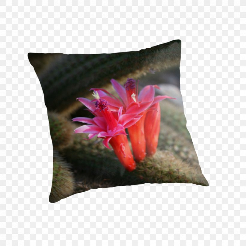 Throw Pillows Cushion Flower, PNG, 875x875px, Throw Pillows, Cushion, Flower, Pillow, Throw Pillow Download Free