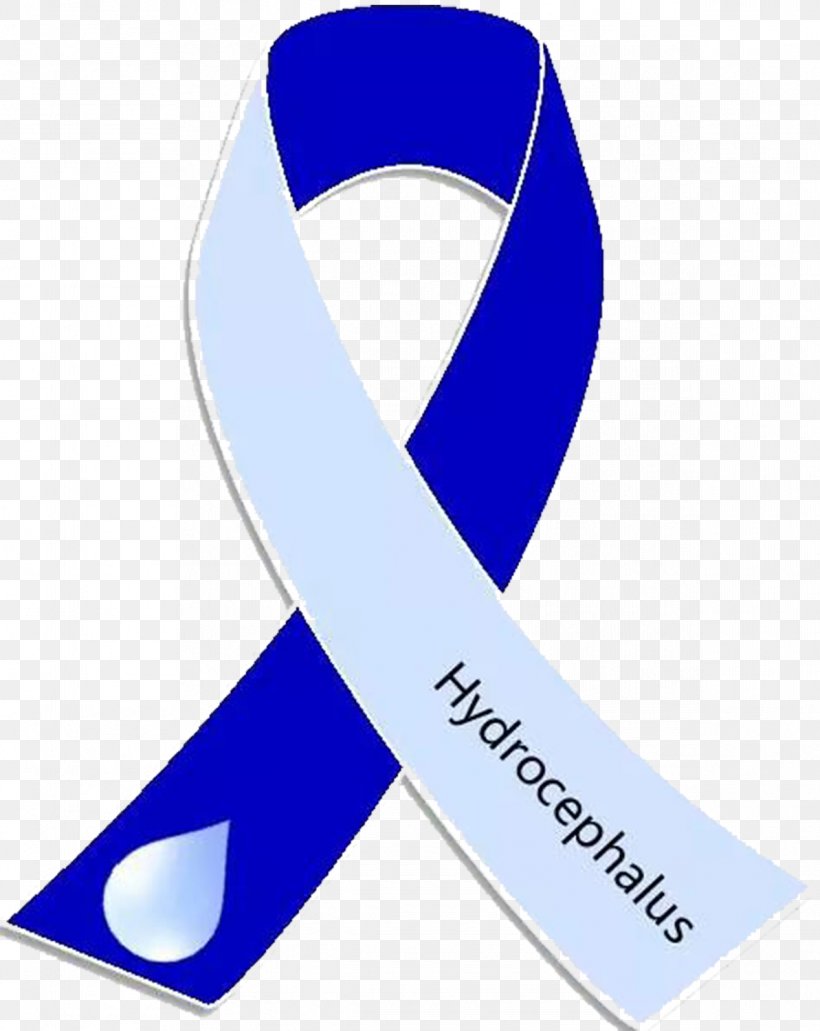 Awareness Ribbon Hydrocephalus Cerebral Shunt, PNG, 1193x1500px, Awareness Ribbon, Awareness, Brand, Cerebral Shunt, Cerebrospinal Fluid Download Free