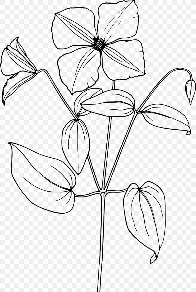 Drawing Flower Clip Art, PNG, 862x1280px, Drawing, Arabian Jasmine, Area, Art, Artwork Download Free