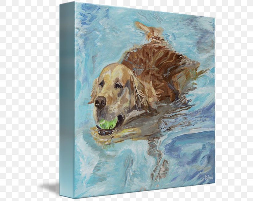 Golden Retriever Labrador Retriever Dog Breed Puppy, PNG, 589x650px, Golden Retriever, Animal, Art, Artist, Carnivoran Download Free