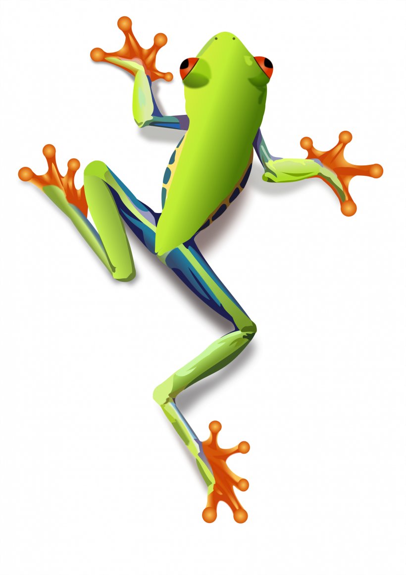 The Tree Frog Red-eyed Tree Frog Clip Art, PNG, 1688x2392px, Frog, American Green Tree Frog, Amphibian, Animal, Animal Figure Download Free