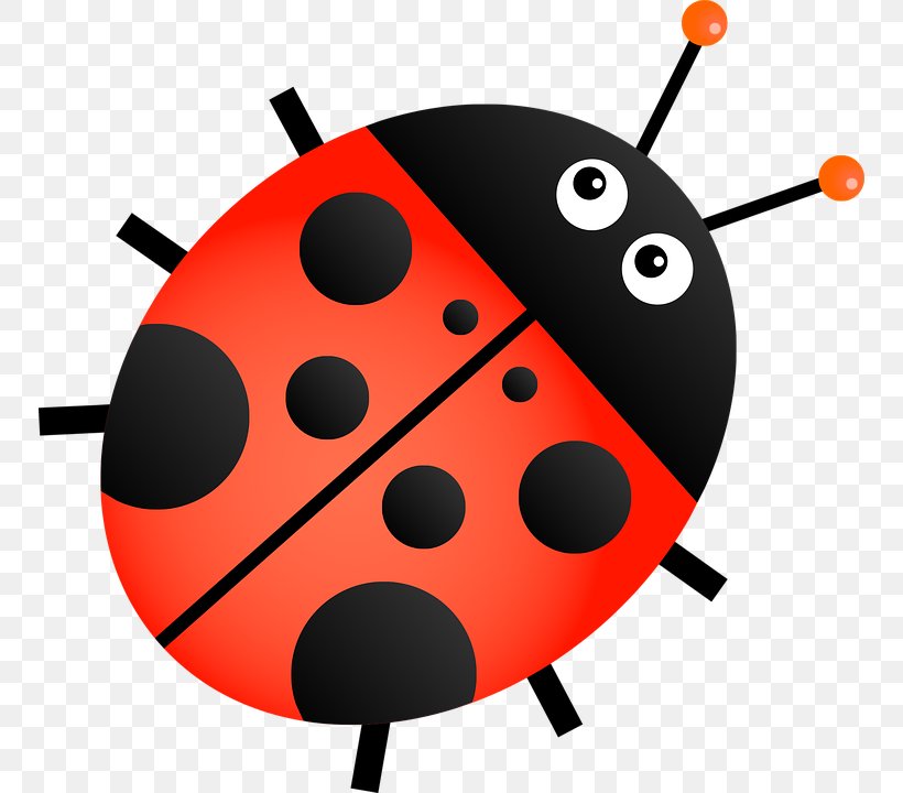 Beetle Photography Ladybird, PNG, 750x720px, Beetle, Cartoon, Insect, Invertebrate, Ladybird Download Free