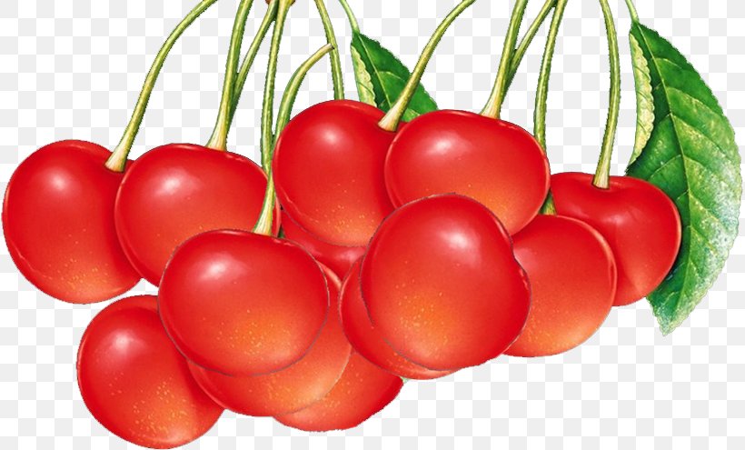 Berry Fruit Cherry Vegetable Wallpaper, PNG, 817x495px, Berry, Apple, Bell Pepper, Bush Tomato, Cherry Download Free