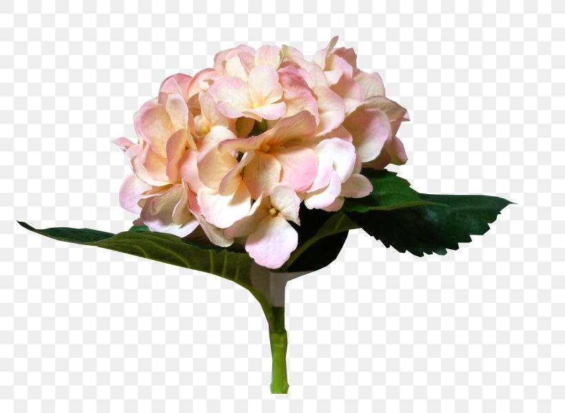 Hydrangea Cut Flowers Floral Design Flower Bouquet, PNG, 800x600px, Hydrangea, Artificial Flower, Cornales, Cut Flowers, Floral Design Download Free