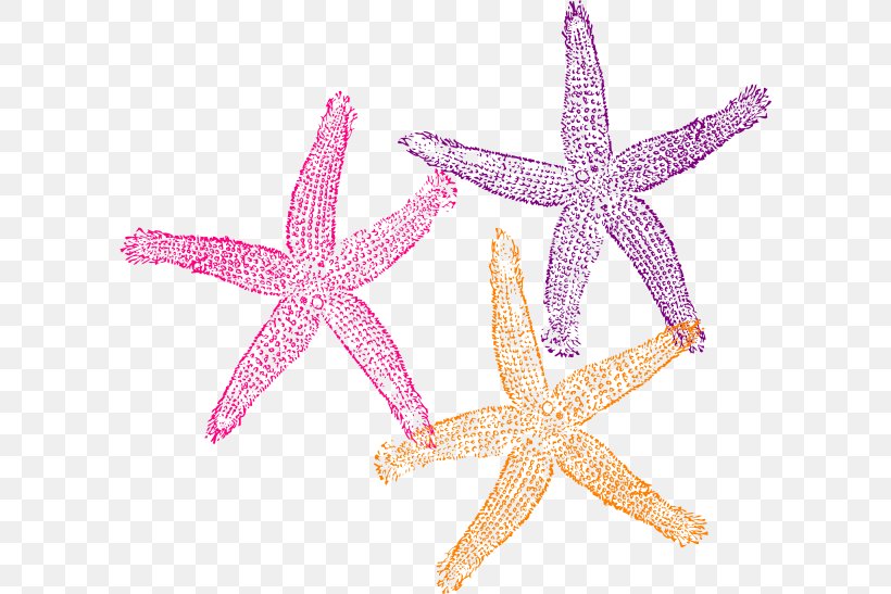Starfish Clip Art, PNG, 600x547px, Starfish, Coral, Coral Reef Fish, Echinoderm, Fish Download Free