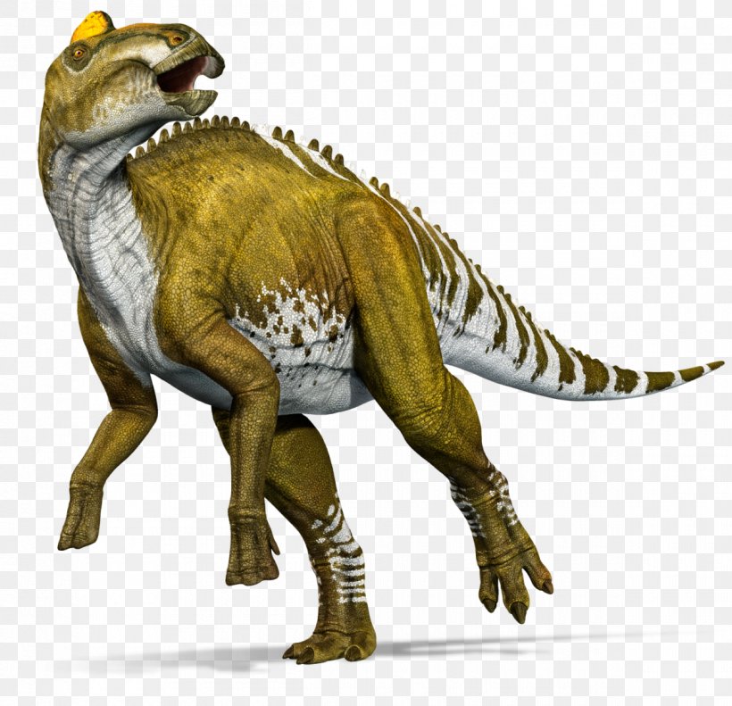 Edmontosaurus Annectens Tyrannosaurus Lance Formation Gorgosaurus Late Cretaceous, PNG, 1200x1159px, Edmontosaurus Annectens, Anatosaurus, Animal Figure, Charles R Knight, Cretaceous Download Free