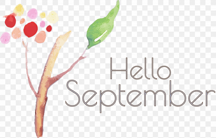 Hello September September, PNG, 3000x1914px, Hello September, Branching, Floral Design, Geometry, Line Download Free