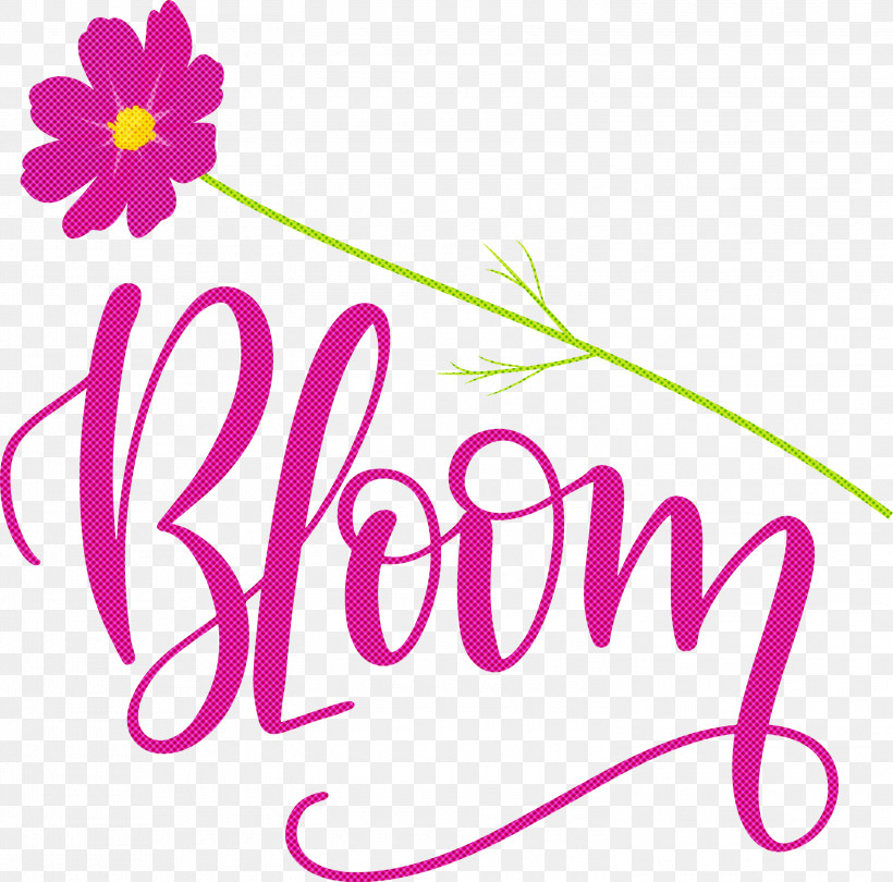 Bloom Spring, PNG, 3000x2964px, Bloom, Cut Flowers, Data, Floral Design, Flower Download Free