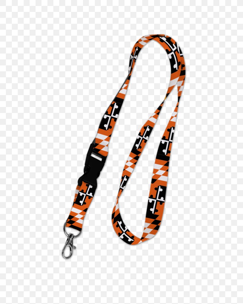 Leash Font, PNG, 622x1023px, Leash, Orange Download Free