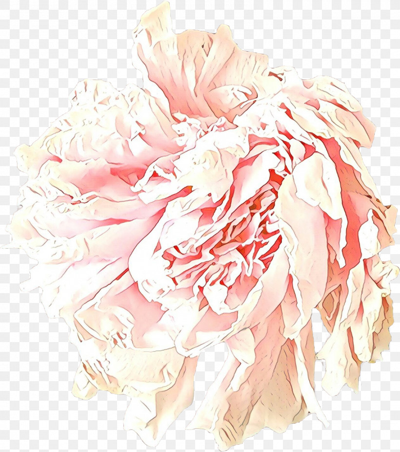 Pink Flower Cut Flowers Peony Plant, PNG, 1600x1805px, Pink, Chinese Peony, Cut Flowers, Flower, Peach Download Free