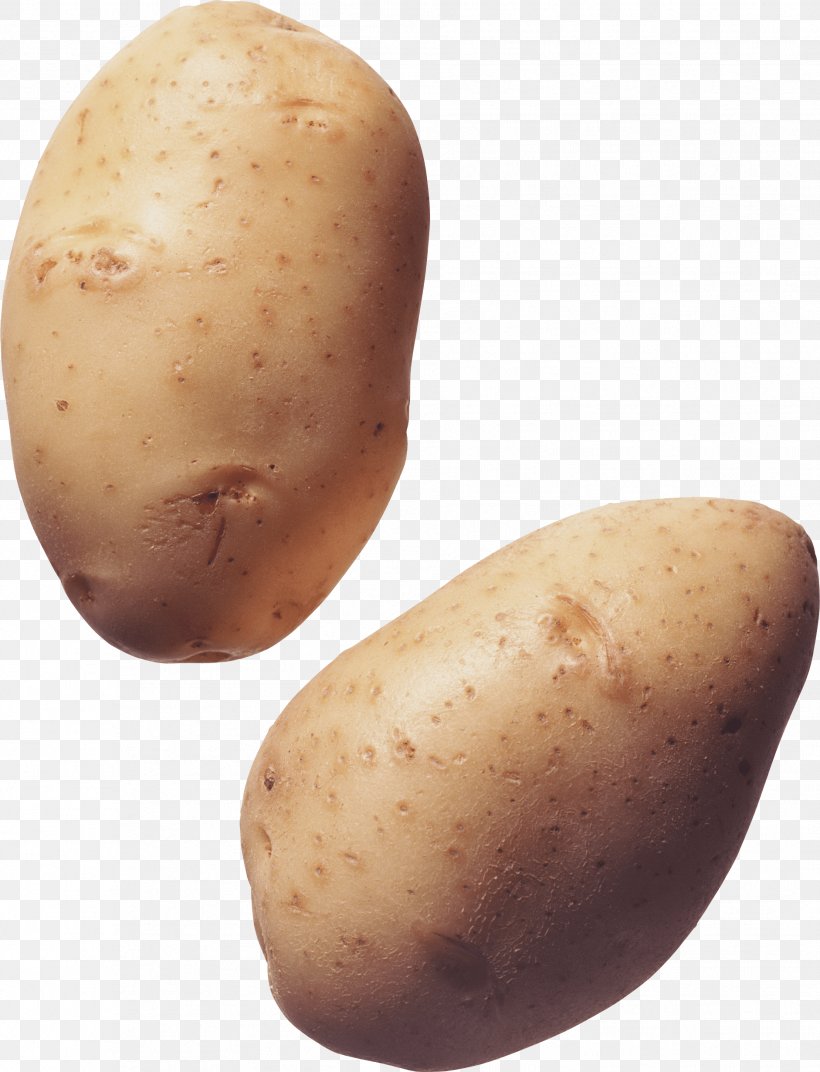 Potato Icon, PNG, 1882x2462px, Colcannon, Food, French Fries, Image File Formats, Image Resolution Download Free