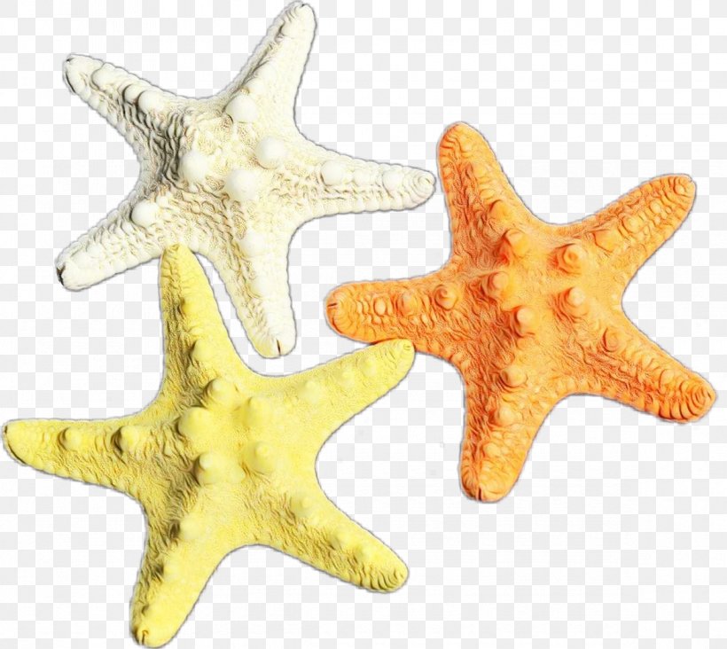 Starfish Yellow Marine Invertebrates Star Fashion Accessory, PNG, 1175x1049px, Watercolor, Fashion Accessory, Jewellery, Marine Invertebrates, Paint Download Free
