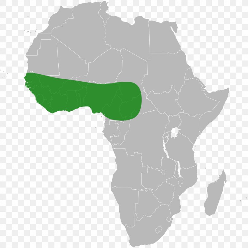 Benin Blank Map African Union, PNG, 1024x1024px, Benin, Africa, African Union, Blank Map, Country Download Free