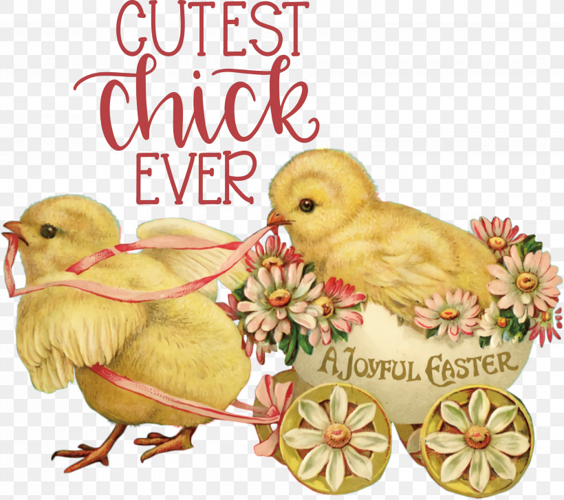 Happy Easter Cutest Chick Ever, PNG, 3000x2662px, Happy Easter, Chicken, Christmas Day, Easter Basket, Easter Bunny Download Free
