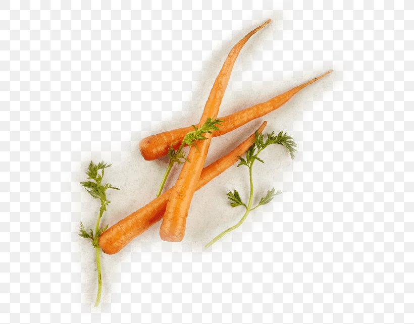 Baby Carrot Plant Stem, PNG, 602x642px, Baby Carrot, Carrot, Food, Plant Stem, Vegetable Download Free
