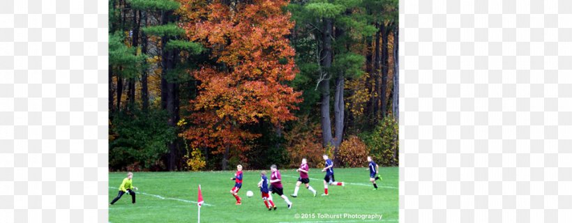 Browns Corner New Hartford Youth Soccer West Hartford Youth Soccer Association Football Town, PNG, 960x375px, Football, Athletics Field, Biome, Connecticut, Ecosystem Download Free