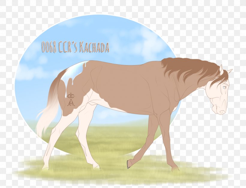 Foal Mane Stallion Mare Colt, PNG, 2400x1837px, Foal, Bridle, Cartoon, Colt, Fauna Download Free