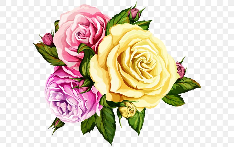 Garden Roses Image Flower Clip Art, PNG, 600x515px, Garden Roses, Blog, Botany, Bouquet, Cabbage Rose Download Free