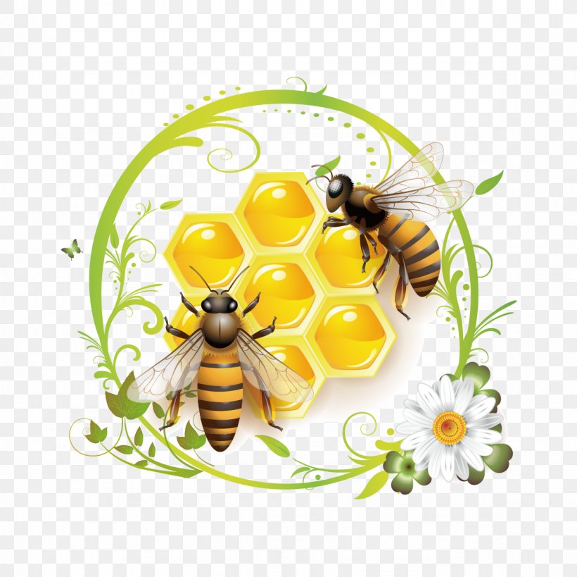 Honey Bee Clip Art, PNG, 1181x1181px, Bee, Arthropod, Beehive, Bumblebee, Flower Download Free