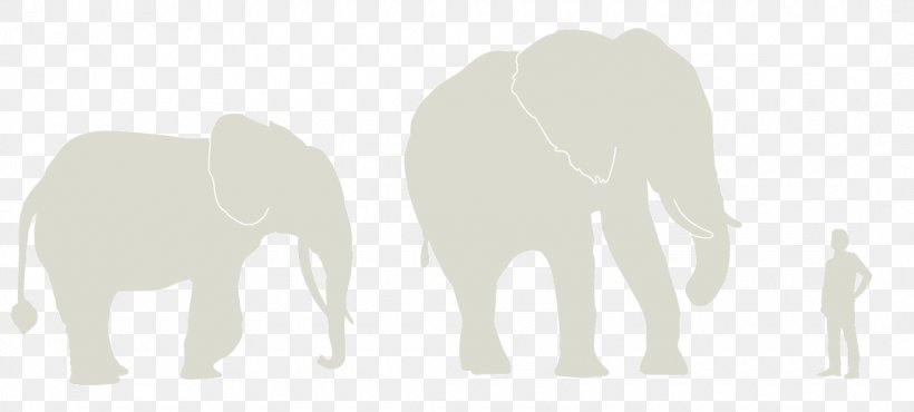 Indian Elephant African Elephant Cattle Product Design Mammal, PNG, 1080x488px, Indian Elephant, African Elephant, Animal, Cattle, Cattle Like Mammal Download Free