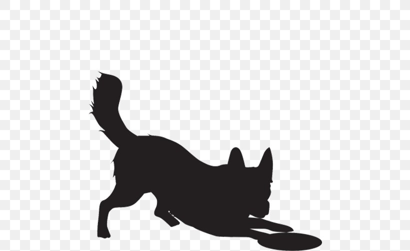 Border Collie Rough Collie Shetland Sheepdog, PNG, 500x502px, Border Collie, Black, Black And White, Black Cat, Carnivoran Download Free
