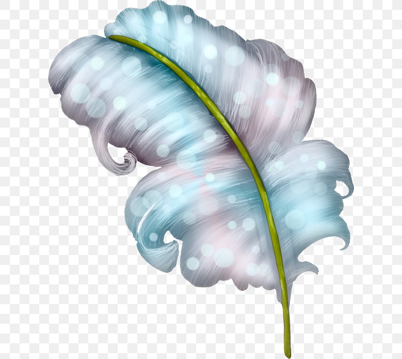 Feather, PNG, 624x732px, Feather, Flower, Invertebrate, Leaf, Organism Download Free