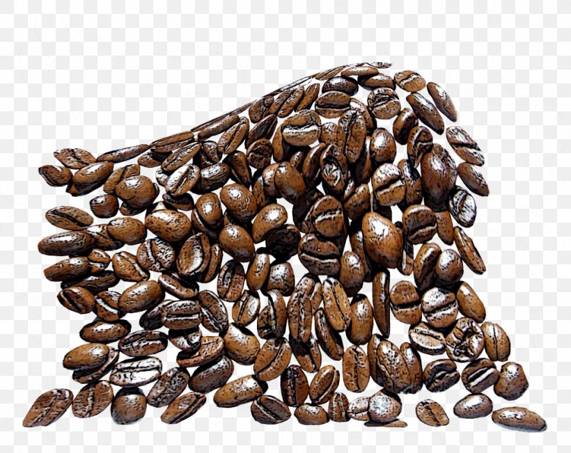 Jamaican Blue Mountain Coffee Nut Seed Commodity, PNG, 1000x794px, Coffee, Commodity, Food, Ingredient, Jamaican Blue Mountain Coffee Download Free