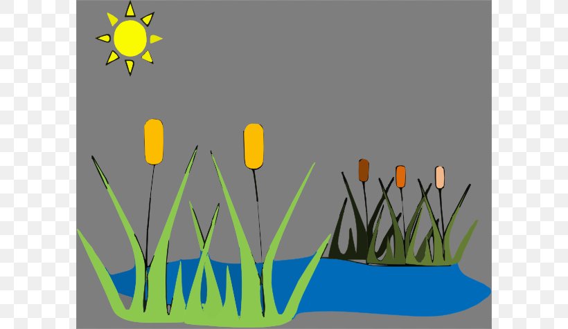 Marsh Trip To The Pond Clip Art, PNG, 600x476px, Marsh, Aquatic Plant, Book, Flower, Freshwater Marsh Download Free