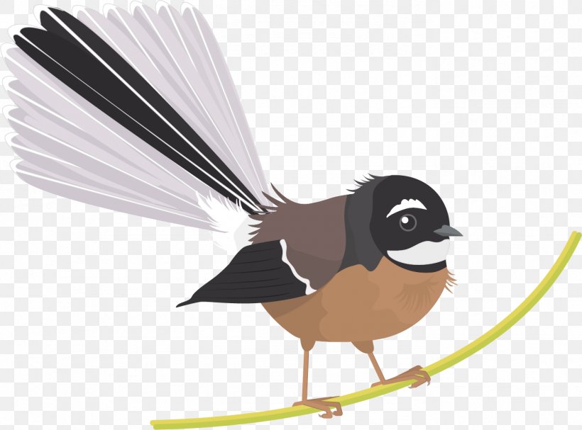 New Zealand Fantail Bird Grey Fantail Black Fantail Philippine Pied Fantail, PNG, 1378x1021px, New Zealand Fantail, Animal, Beak, Bird, Cartoon Download Free
