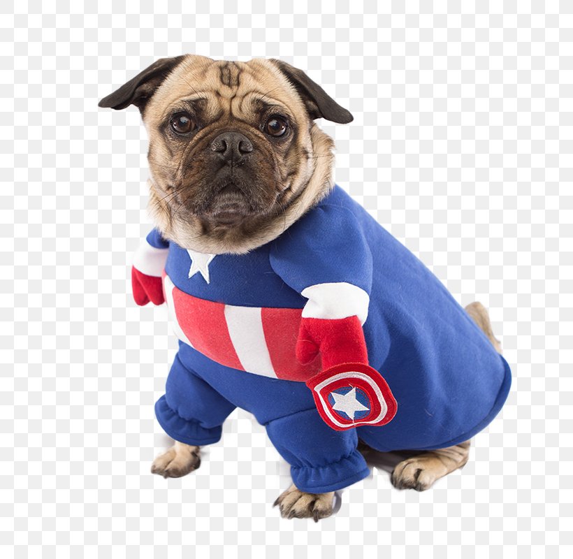 Pugs In Costumes Captain America Dog Breed, PNG, 800x800px, Pug, Bruce Banner, Captain America, Captain America The First Avenger, Carnivoran Download Free