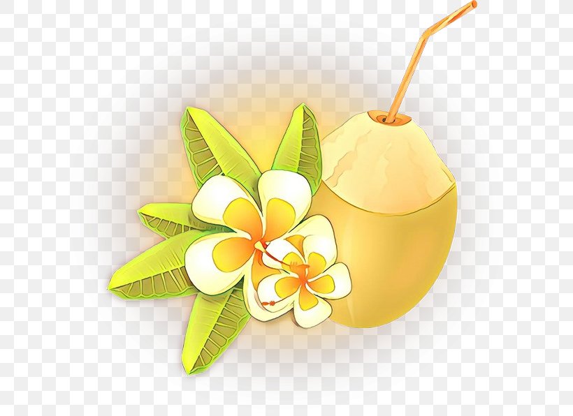 Still Life Photography Product Design Yellow, PNG, 640x596px, Still Life Photography, Flower, Frangipani, Fruit, Paper Download Free