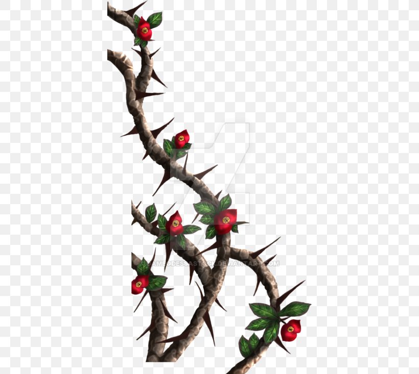 Thorns, Spines, And Prickles Rose Crown Of Thorns Clip Art, PNG, 400x733px, Thorns Spines And Prickles, Aquifoliaceae, Aquifoliales, Art, Branch Download Free