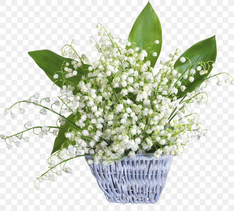 Lily Of The Valley May 1 Party Labour Day May Day, PNG, 1195x1080px, Lily Of The Valley, Cut Flowers, Father S Day, Floral Design, Floristry Download Free