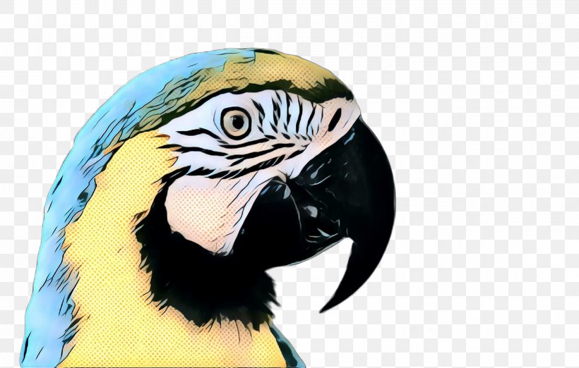 Bird Beak Macaw Wildlife Parrot, PNG, 2507x1596px, Pop Art, Beak, Bird, Macaw, Parakeet Download Free