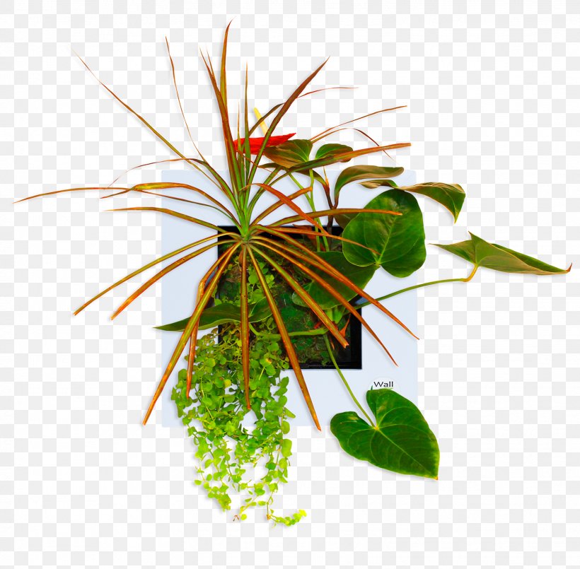 Leaf Flowerpot Houseplant Plant Stem, PNG, 1552x1524px, Leaf, Flora, Flower, Flowerpot, Houseplant Download Free
