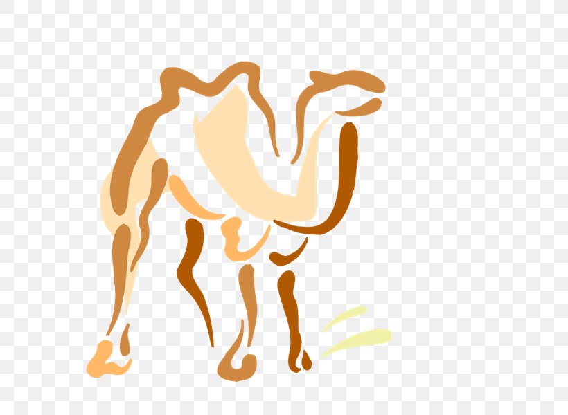 Camel Dromedary Drawing Photography Clip Art, PNG, 800x600px, Watercolor, Cartoon, Flower, Frame, Heart Download Free