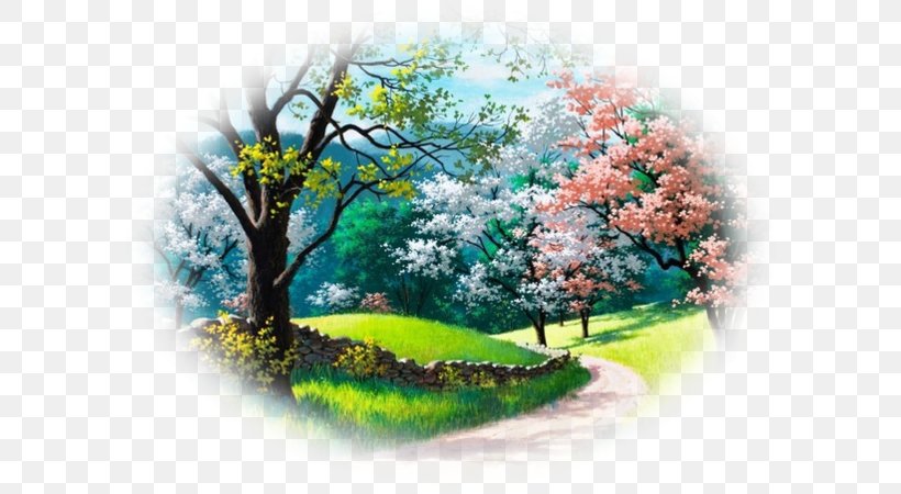 Desktop Wallpaper Nature Photography Landscape Image, PNG, 600x450px, Nature, Aspect Ratio, Blossom, Branch, Cherry Blossom Download Free