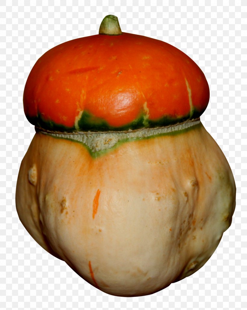 Great Pumpkin Winter Squash Calabaza Vegetarian Cuisine, PNG, 1400x1754px, Great Pumpkin, Calabaza, Cucumber Gourd And Melon Family, Cucurbita, Dish Download Free