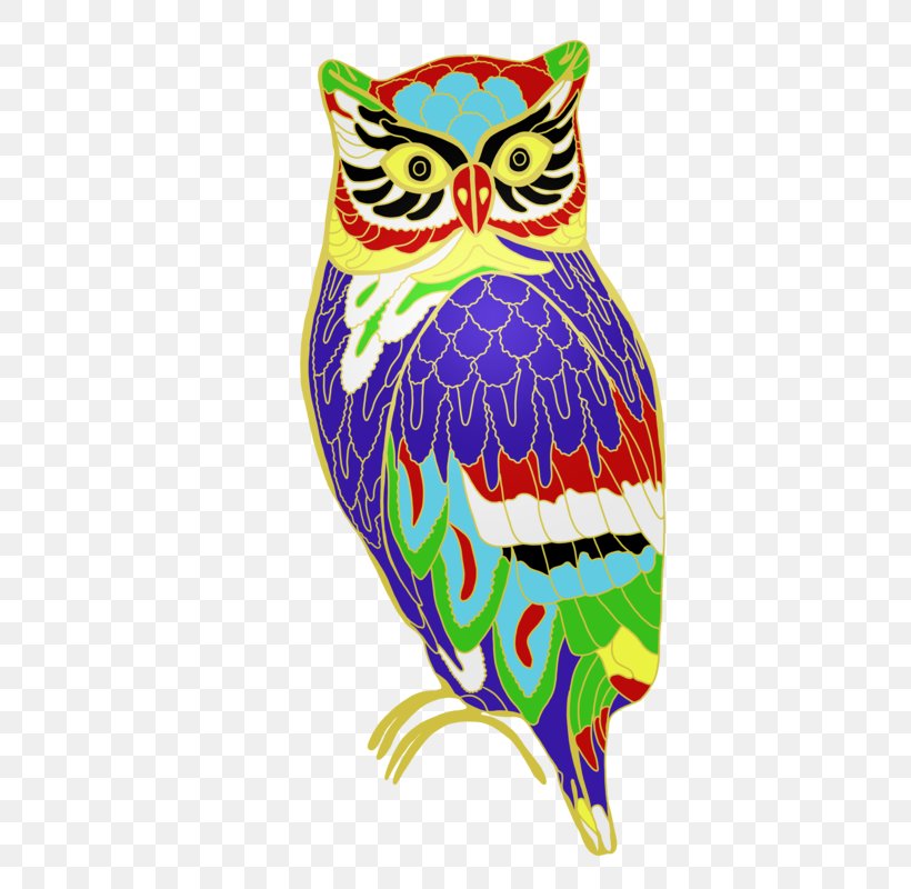 Owl Beak Feather, PNG, 800x800px, Owl, Beak, Bird, Bird Of Prey, Feather Download Free