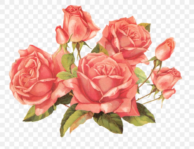 Rose Flower Paper Pink Clip Art, PNG, 900x693px, Rose, Artificial Flower, Color, Cut Flowers, Floral Design Download Free