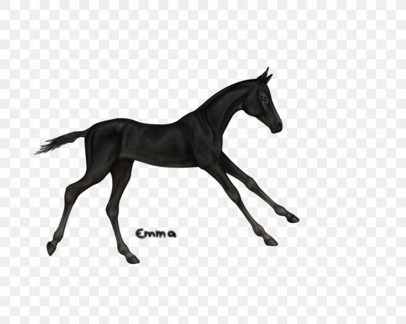 YouTube Foal Mare Stallion Mustang, PNG, 900x720px, Youtube, Animal Figure, Anushka Sharma, Black And White, Bridle Download Free